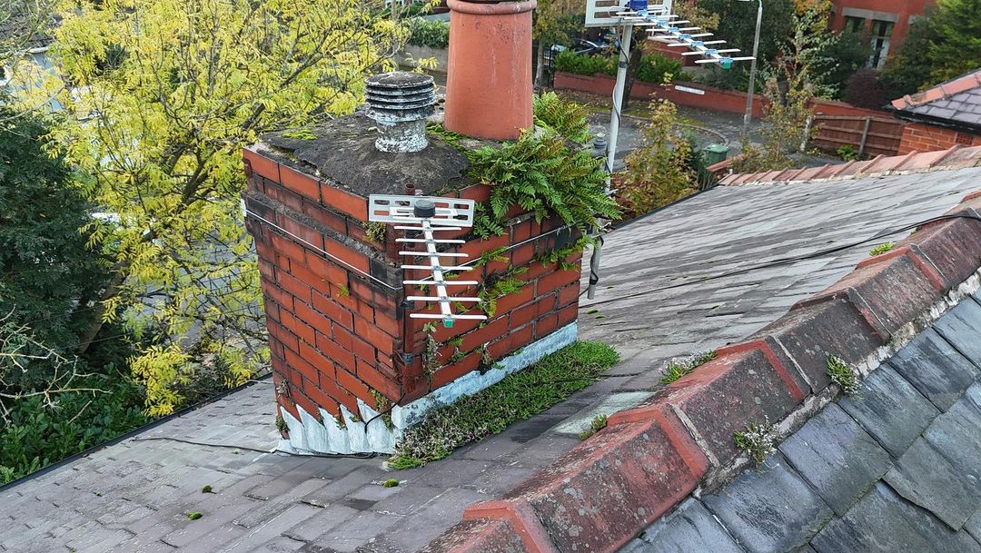 Chimney stack overgrown with weeds and moss